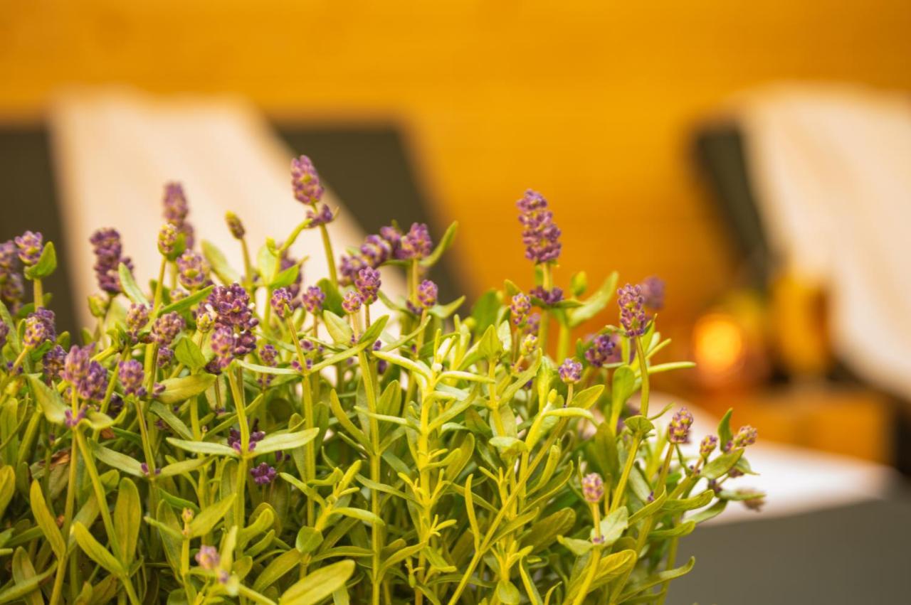 Wellnessoase Mitten In Triberg 特里贝格 外观 照片