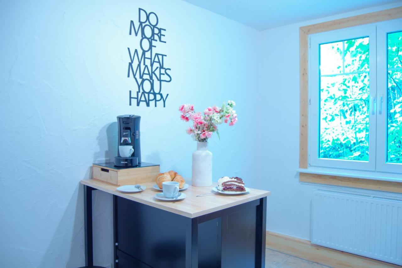 Wellnessoase Mitten In Triberg 特里贝格 外观 照片